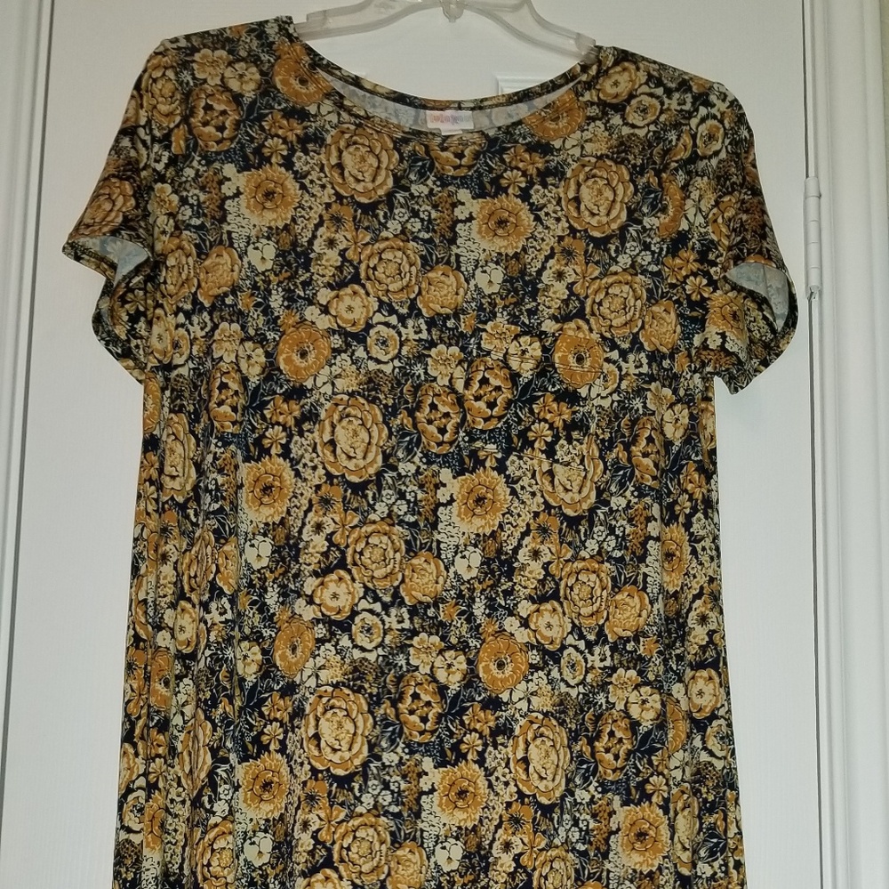 Stunning Lularoe Carly Dress